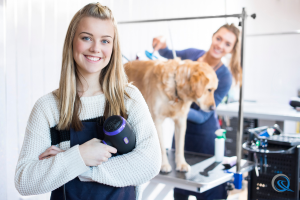 Dog Groomer & Trainer Marketing Agency - Industry Pages - Quinn Marketing